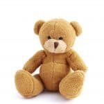 Teddy bear